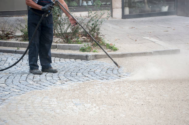 Best Animal Enclosure Cleaning  in Mechanicsburg, OH